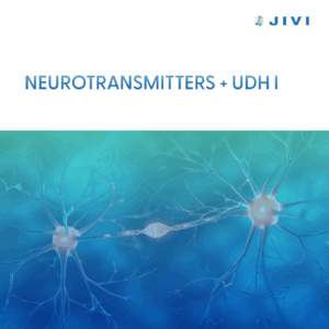 Neurotransmitters + UDH I